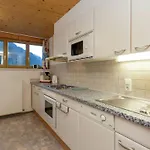 In St Gallenkirch Beim Skigebiet Appartement