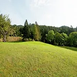 Appartement In St Gallenkirch Beim Skigebiet