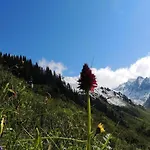 Appartement In St Gallenkirch Beim Skigebiet *