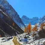 Appartement In St Gallenkirch Beim Skigebiet *