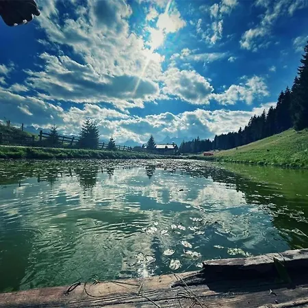 In Montafon Near The Area