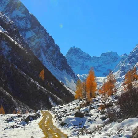 In Montafon Near The Area * سانكت غالنكرش