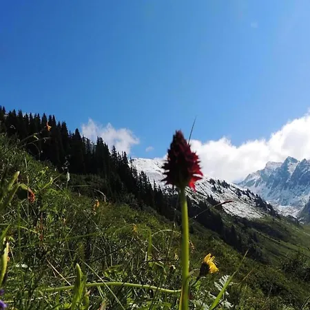 In Montafon Near The Area 公寓 *