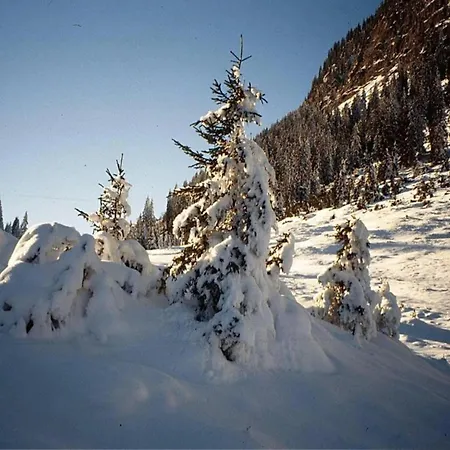 In St Gallenkirch Beim Skigebiet *