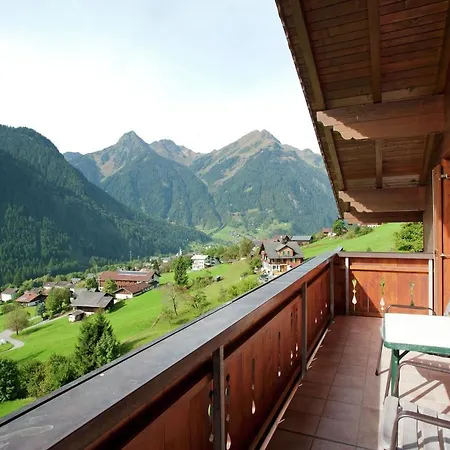 In Montafon Near The Area 圣加伦基希